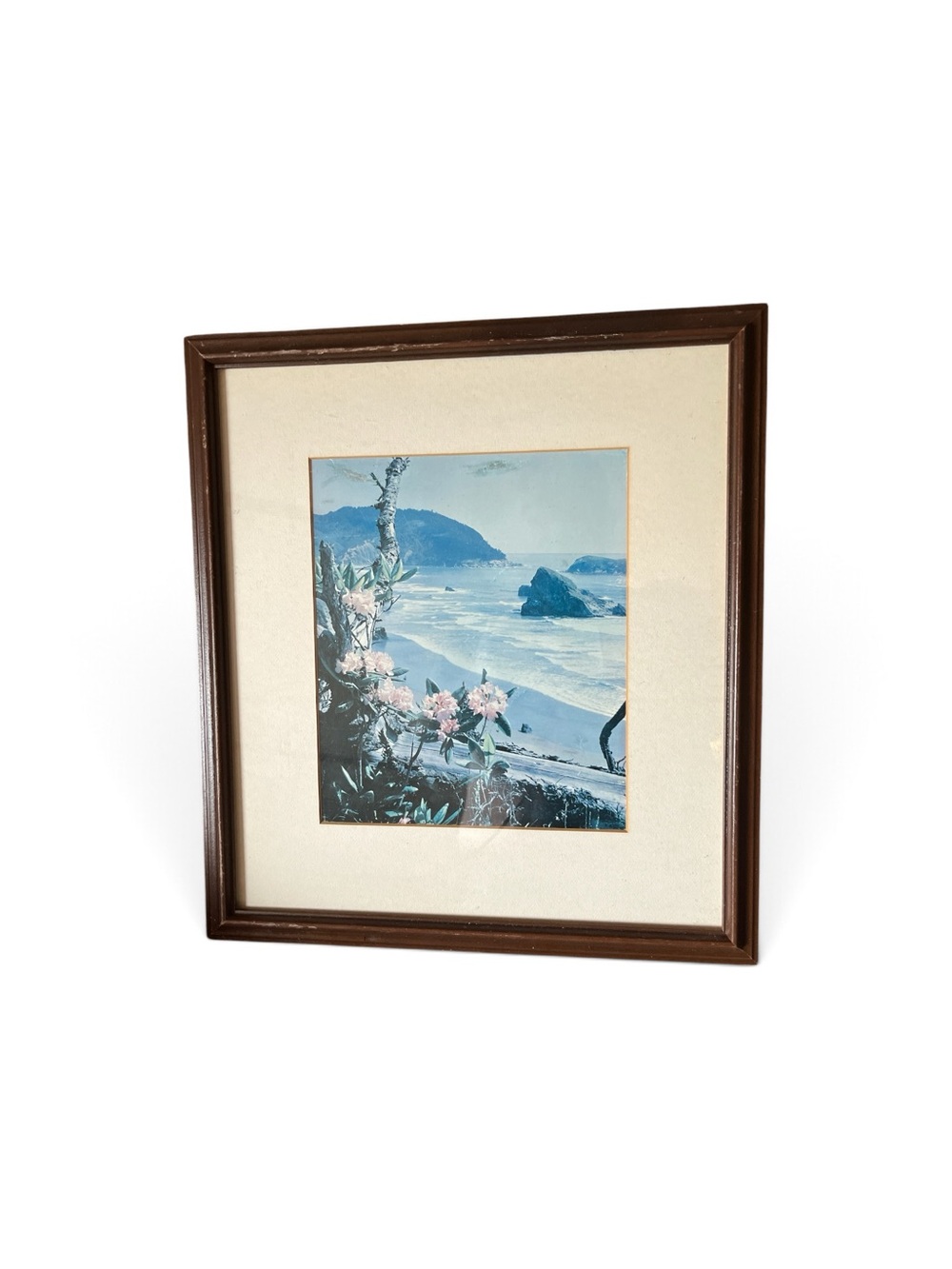 Classic Brown Framed Coastal Print - Home Accents